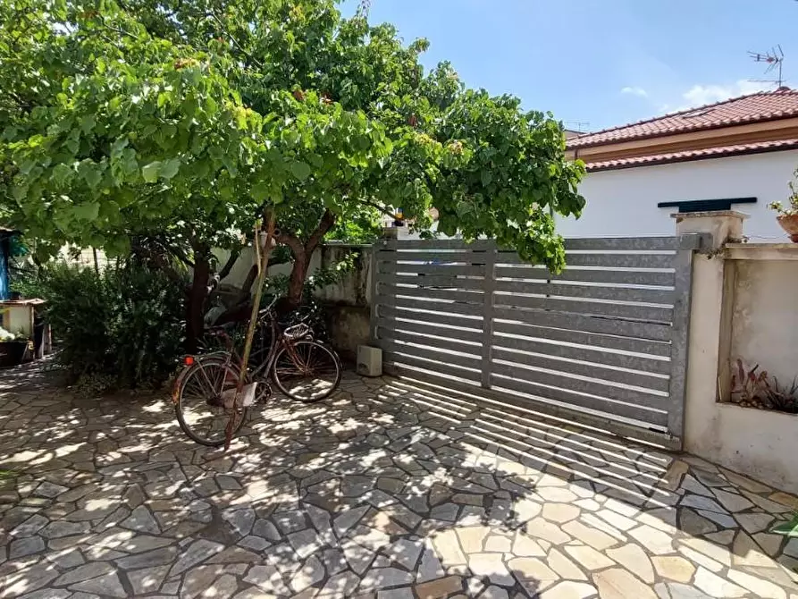 Immagine 22 di Villa in vendita  a Rosignano Marittimo