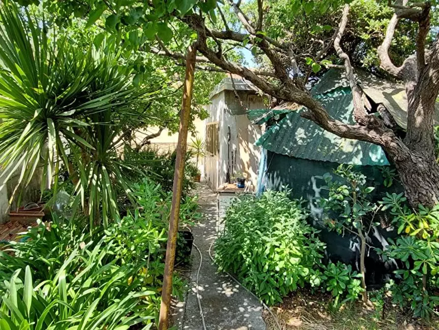 Immagine 6 di Villa in vendita  a Rosignano Marittimo