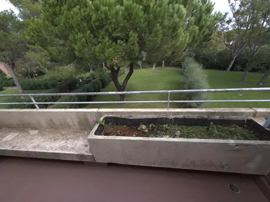 Immagine 2 di Appartamento in vendita  a Bibbona