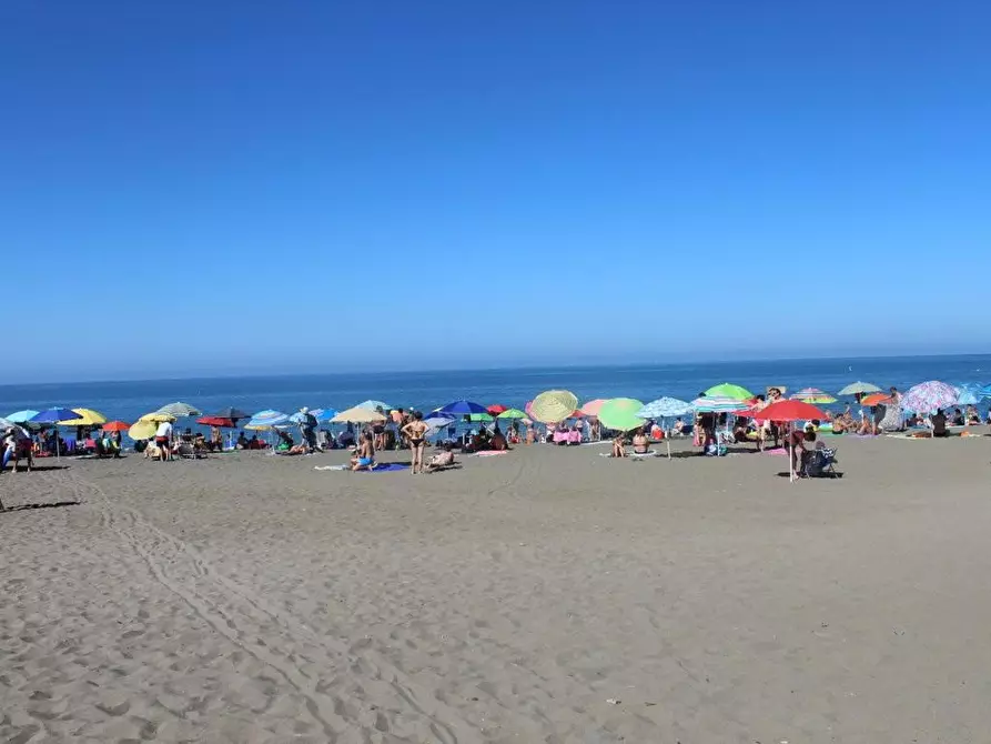 Immagine 11 di Appartamento in vendita  a Bibbona