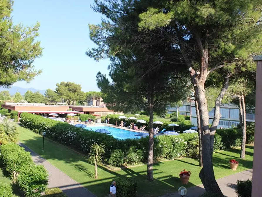 Immagine 8 di Appartamento in vendita  a Bibbona