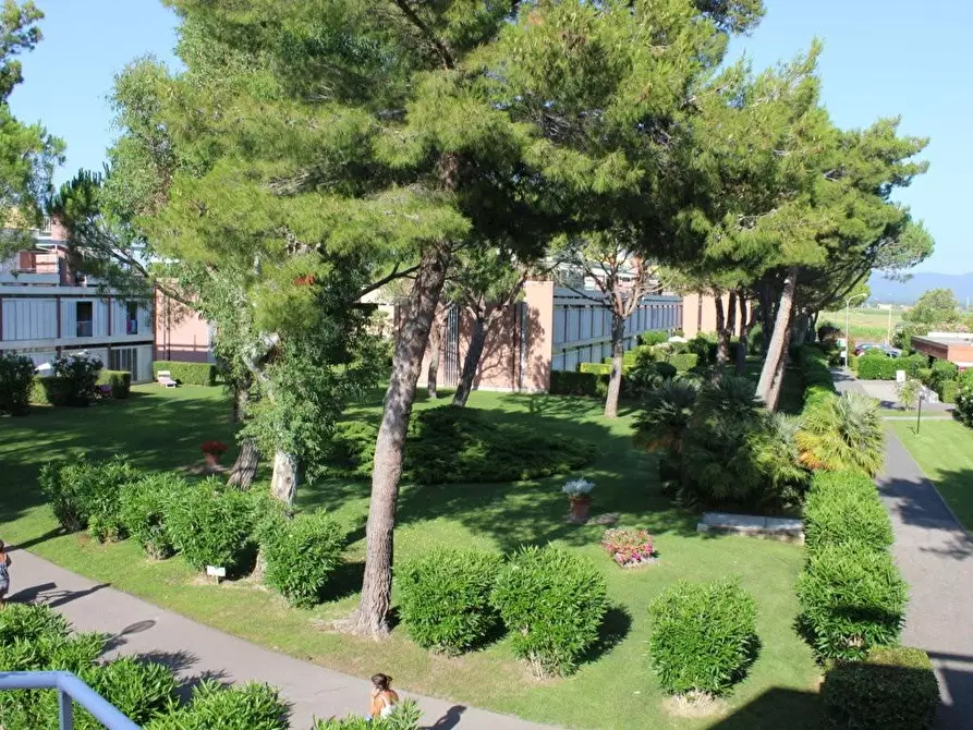 Immagine 9 di Appartamento in vendita  a Bibbona