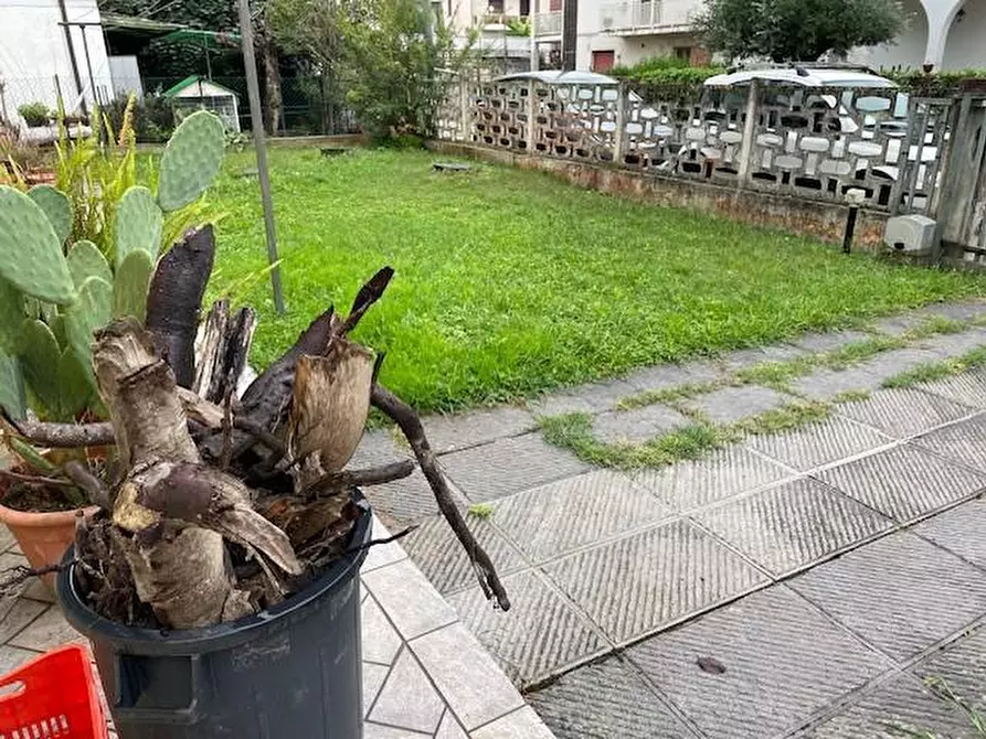 Immagine 14 di Villa in vendita  a Vecchiano