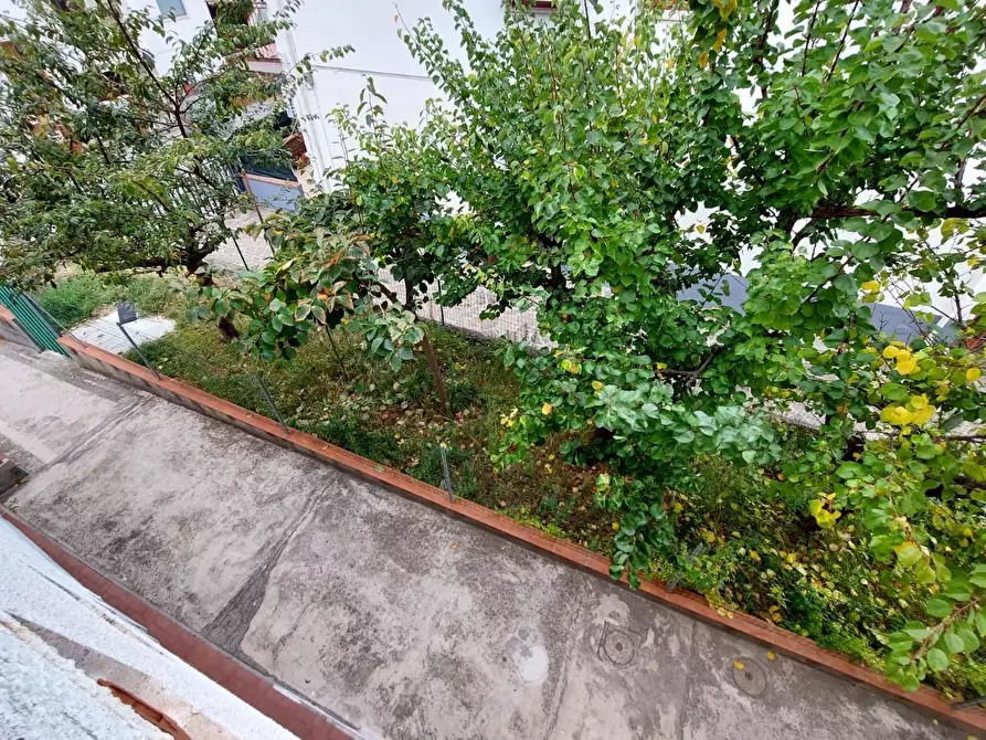 Immagine 12 di Appartamento in vendita  a Rosignano Marittimo