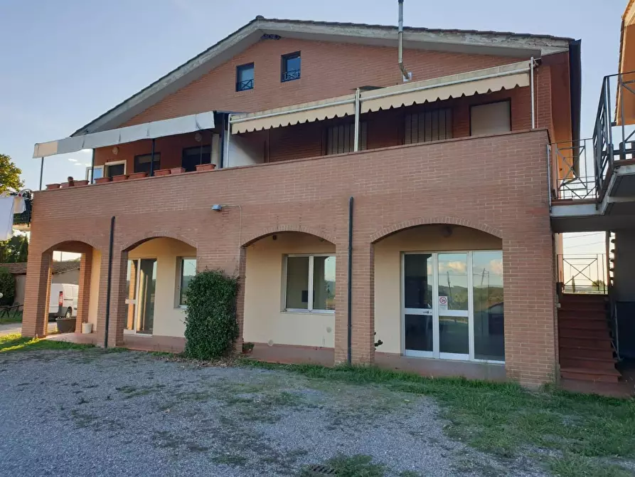 Immagine 9 di Negozio in vendita  a Chiusdino