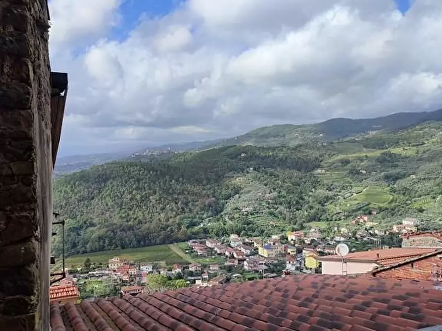 Immagine 14 di Terratetto in vendita  a Ortonovo