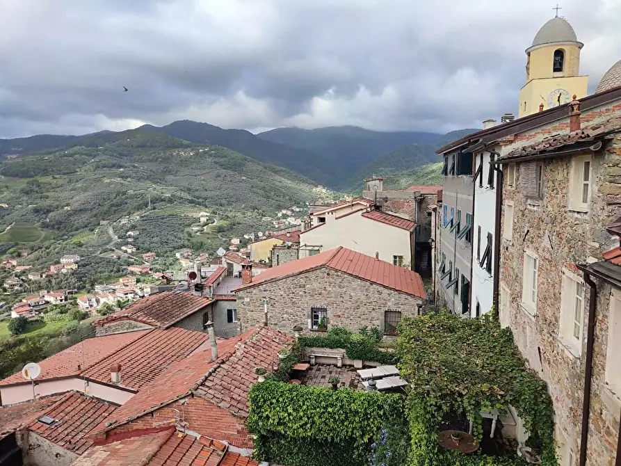 Immagine 35 di Terratetto in vendita  a Ortonovo