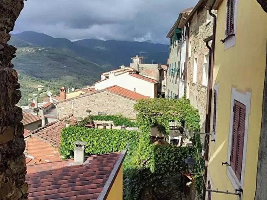 Immagine 17 di Terratetto in vendita  a Ortonovo