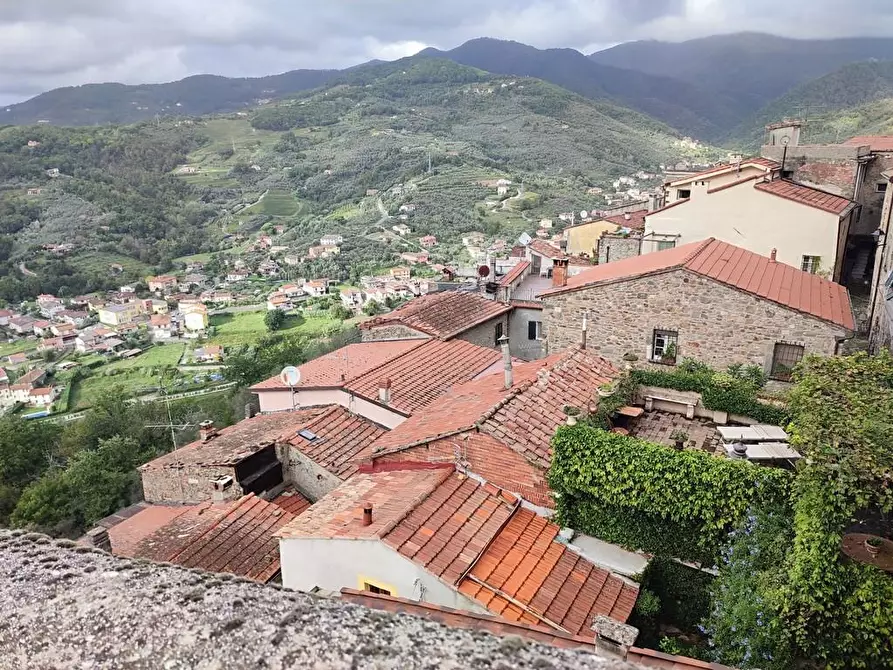 Immagine 36 di Terratetto in vendita  a Ortonovo