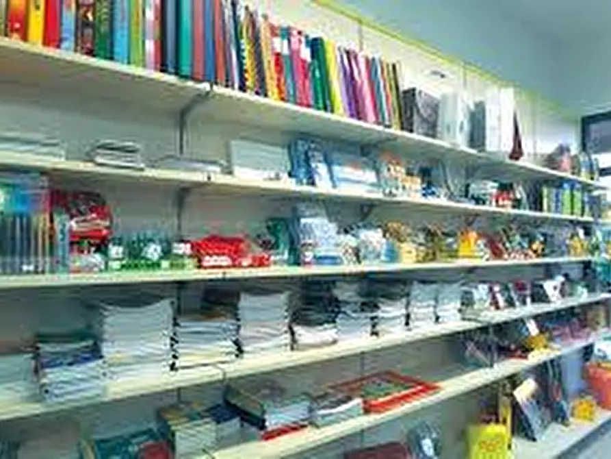 Immagine 2 di Attività commerciale in vendita  a Crespina Lorenzana