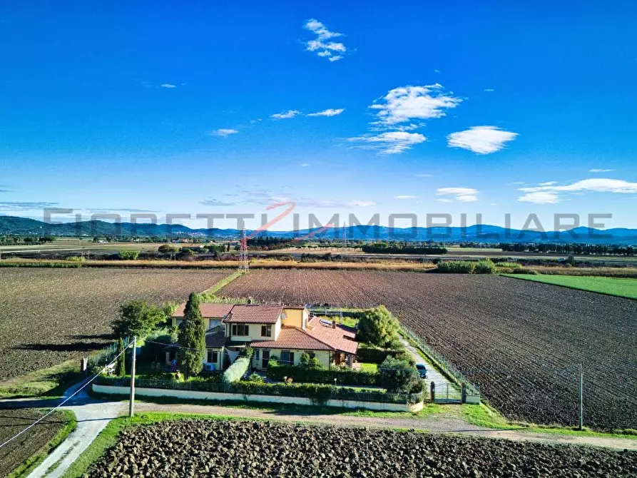 Immagine 32 di Appartamento in vendita  a Campiglia Marittima