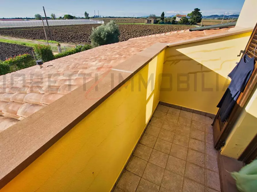 Immagine 18 di Appartamento in vendita  a Campiglia Marittima