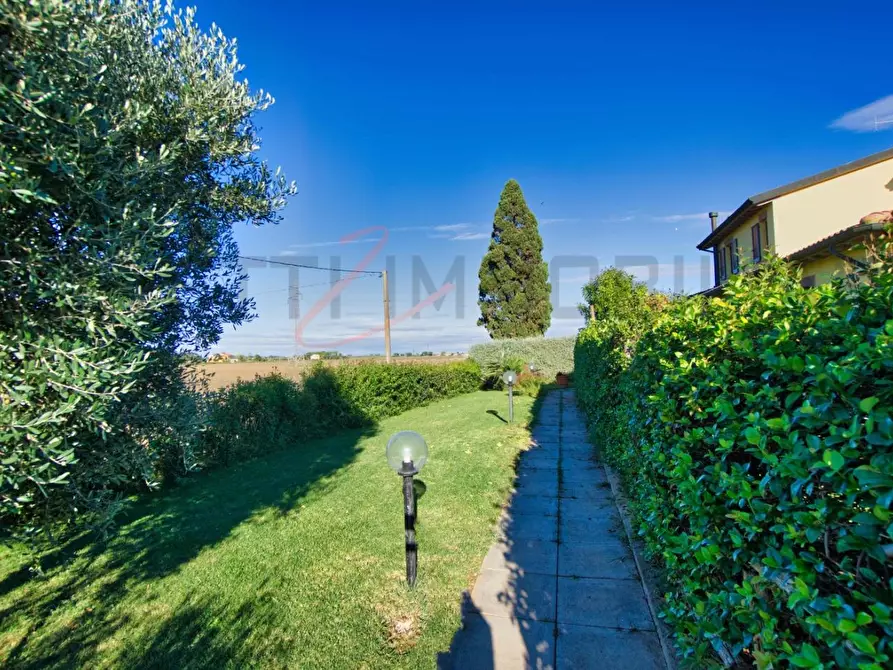 Immagine 29 di Appartamento in vendita  a Campiglia Marittima