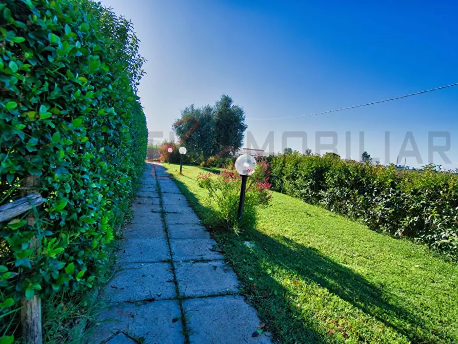 Immagine 26 di Appartamento in vendita  a Campiglia Marittima