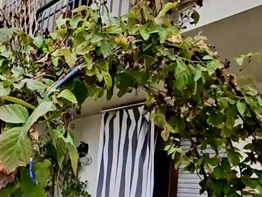 Immagine 16 di Villa in vendita  a Massarosa