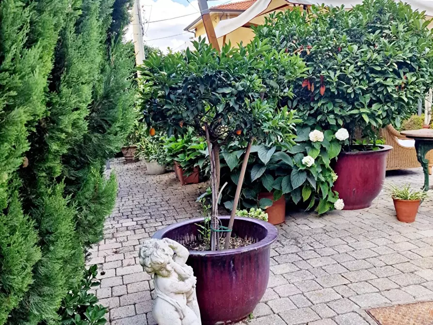 Immagine 2 di Appartamento in vendita  a Ameglia