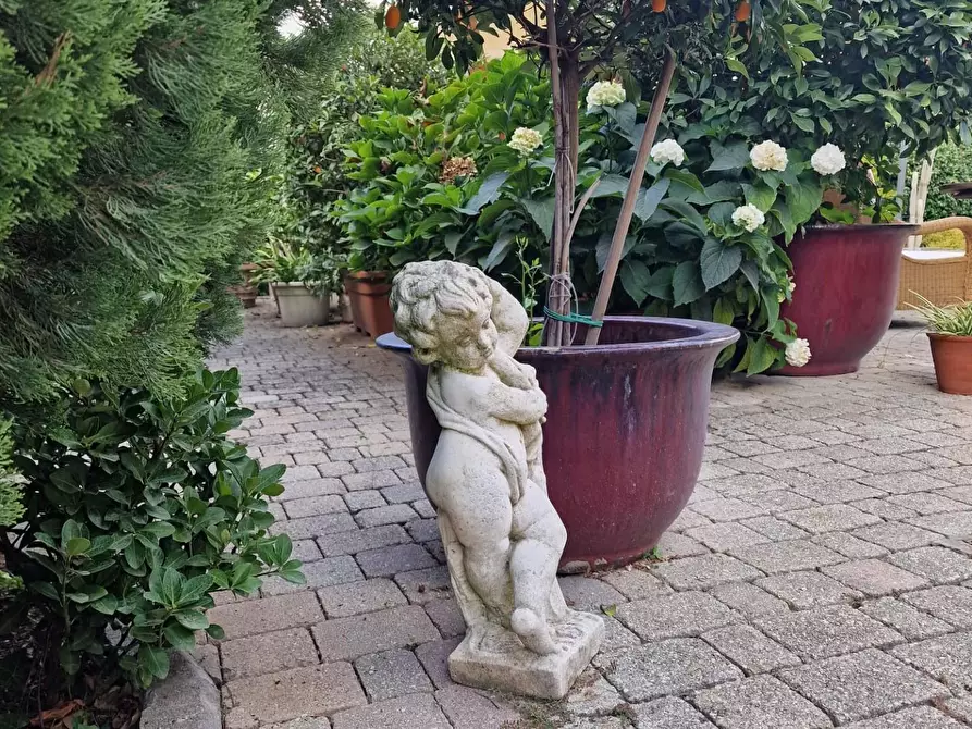 Immagine 5 di Appartamento in vendita  a Ameglia