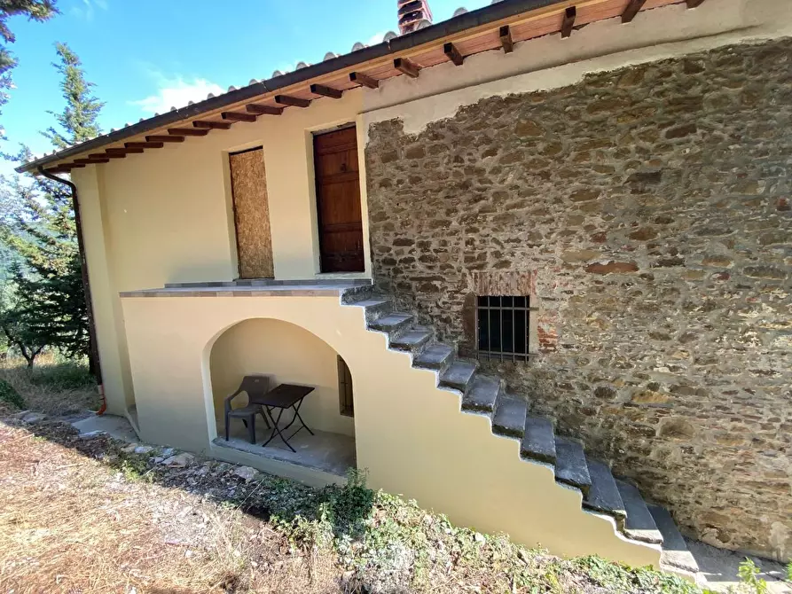 Immagine 15 di Casa colonica in vendita  a Vinci