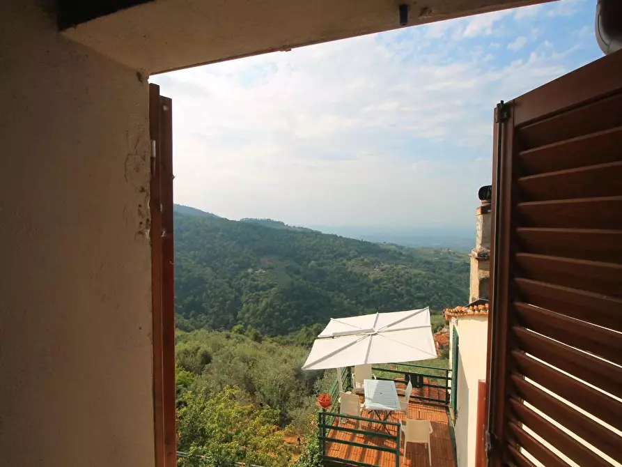 Immagine 9 di Casa colonica in vendita  a Vinci