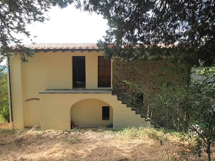 Immagine 13 di Casa colonica in vendita  a Vinci