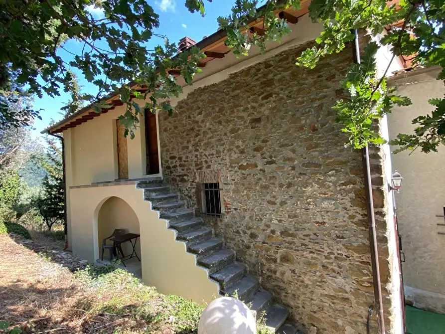 Immagine 16 di Casa colonica in vendita  a Vinci