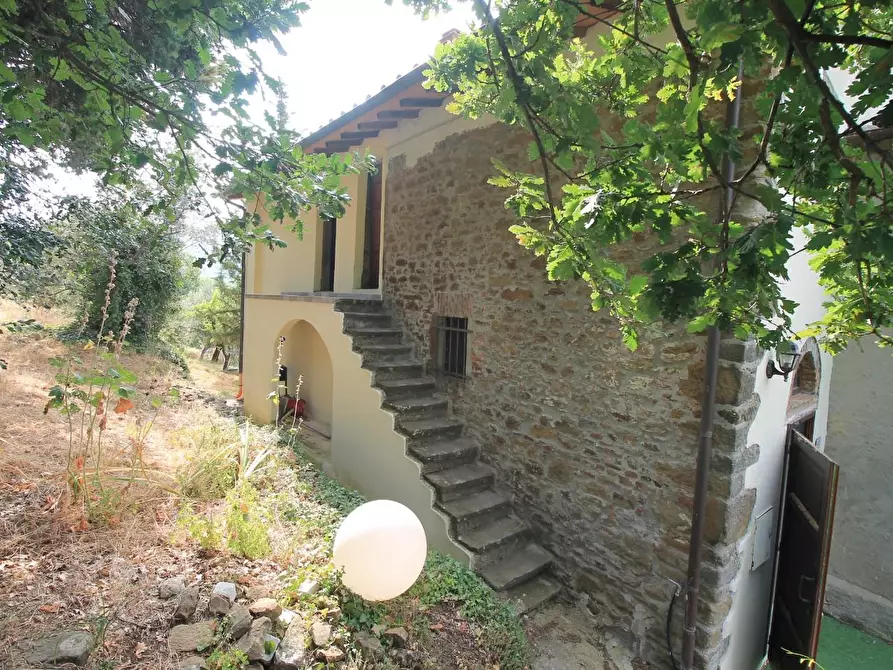 Immagine 12 di Casa colonica in vendita  a Vinci