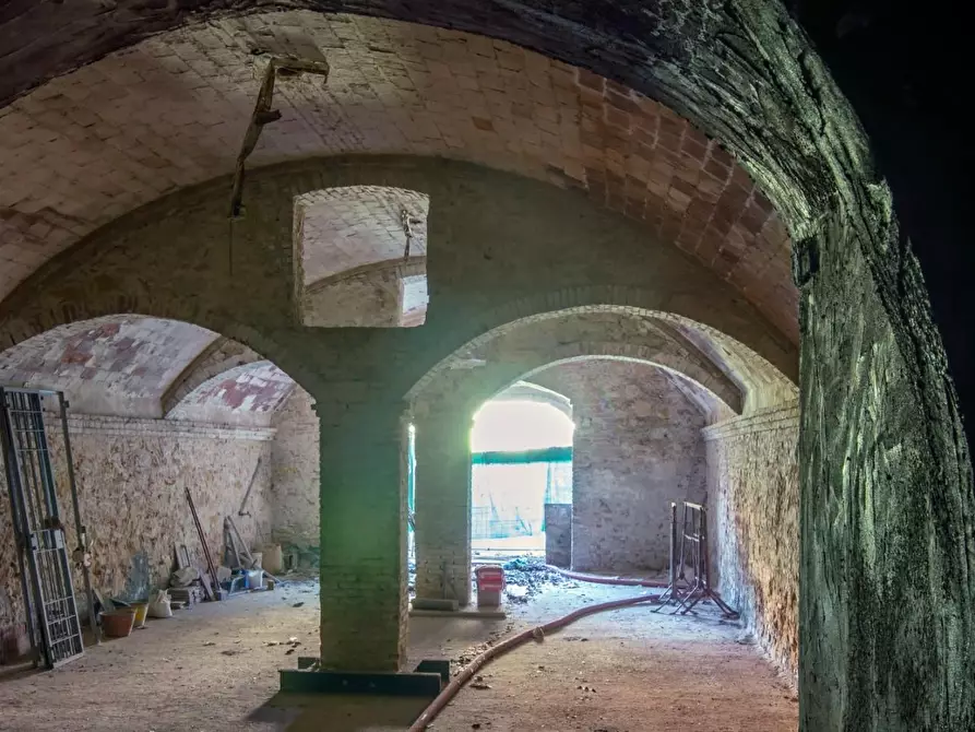 Immagine 4 di Magazzino in vendita  a Fauglia