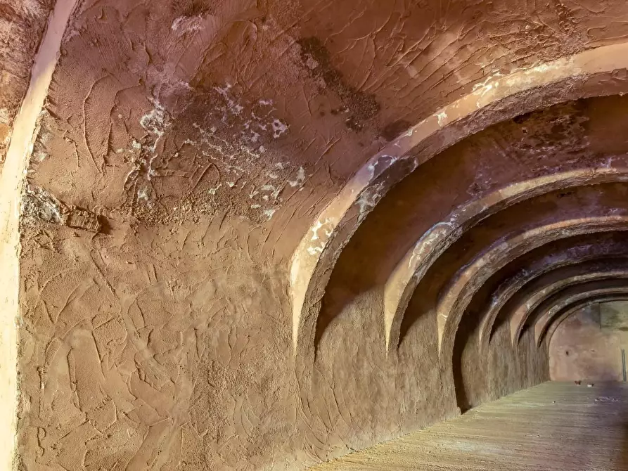 Immagine 5 di Magazzino in vendita  a Fauglia