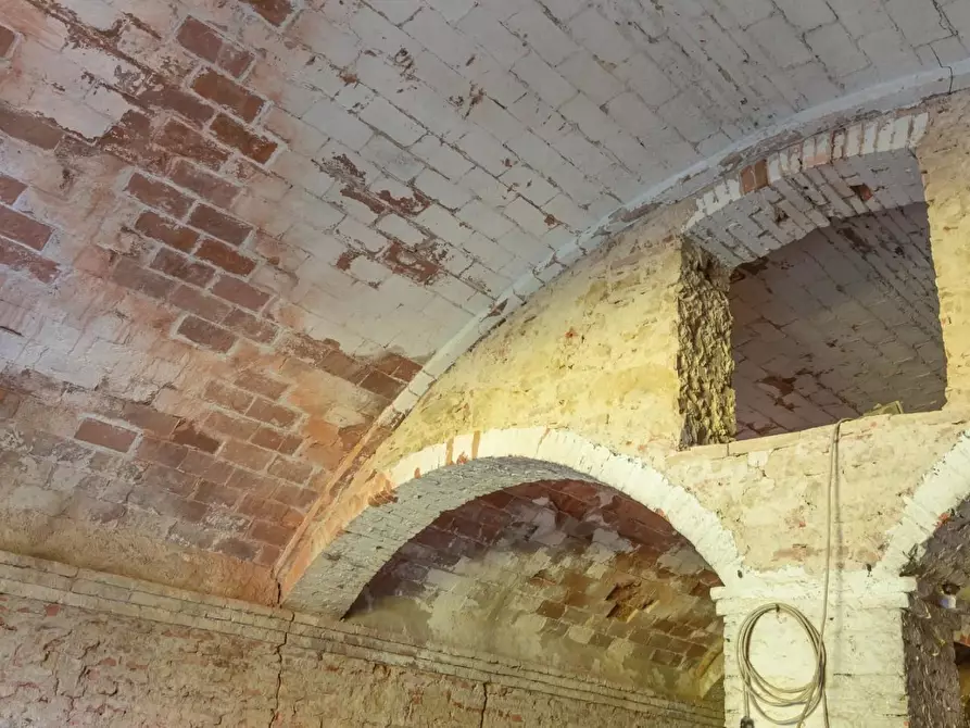 Immagine 3 di Magazzino in vendita  a Fauglia