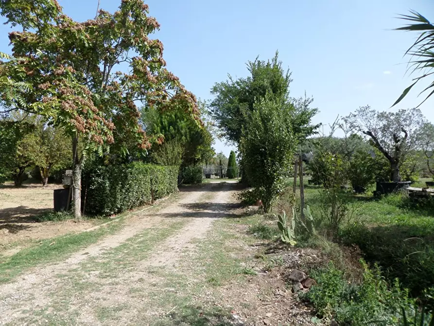 Immagine 1 di Terratetto in vendita  a Castelfranco Di Sotto