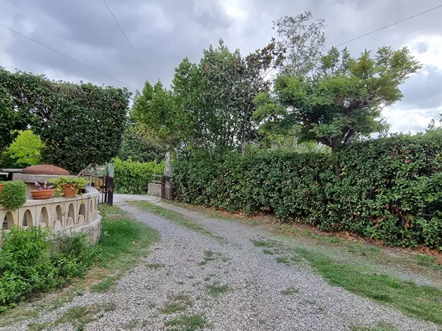 Immagine 29 di Villetta a schiera in vendita  a Castellina Marittima