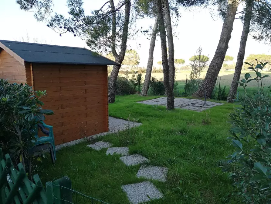 Immagine 9 di Appartamento in vendita  a Bibbona