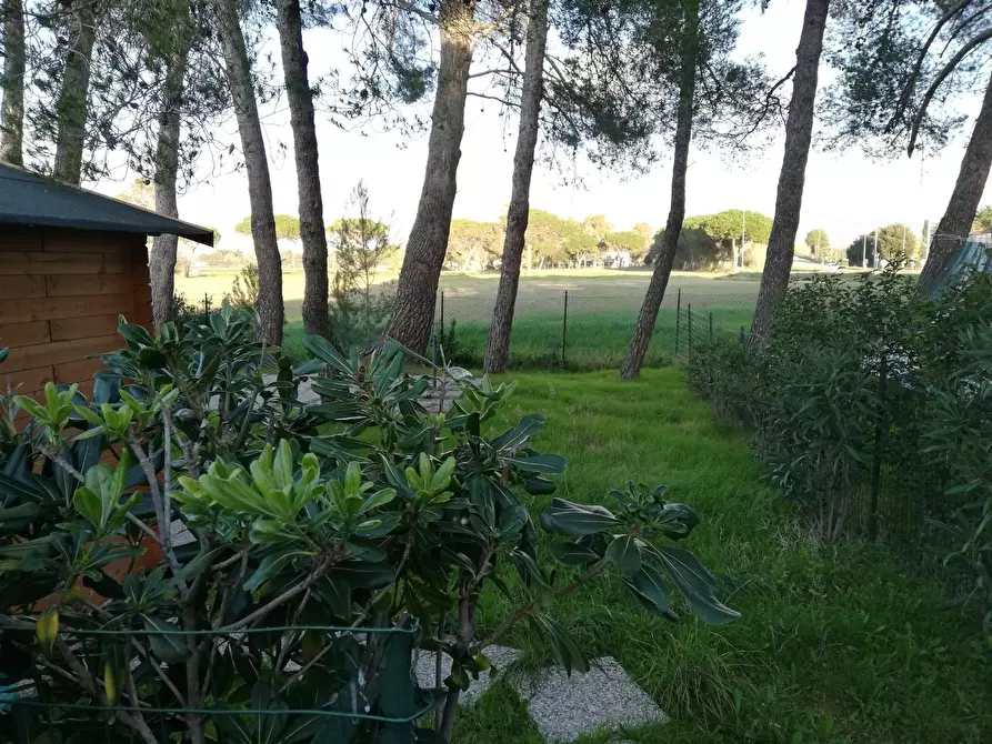 Immagine 10 di Appartamento in vendita  a Bibbona