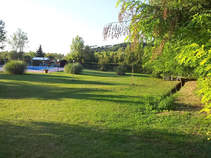 Immagine 4 di Casa colonica in vendita  a Terricciola