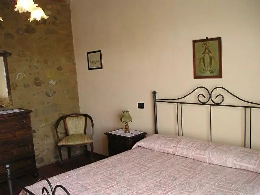 Immagine 13 di Casa colonica in vendita  a Terricciola