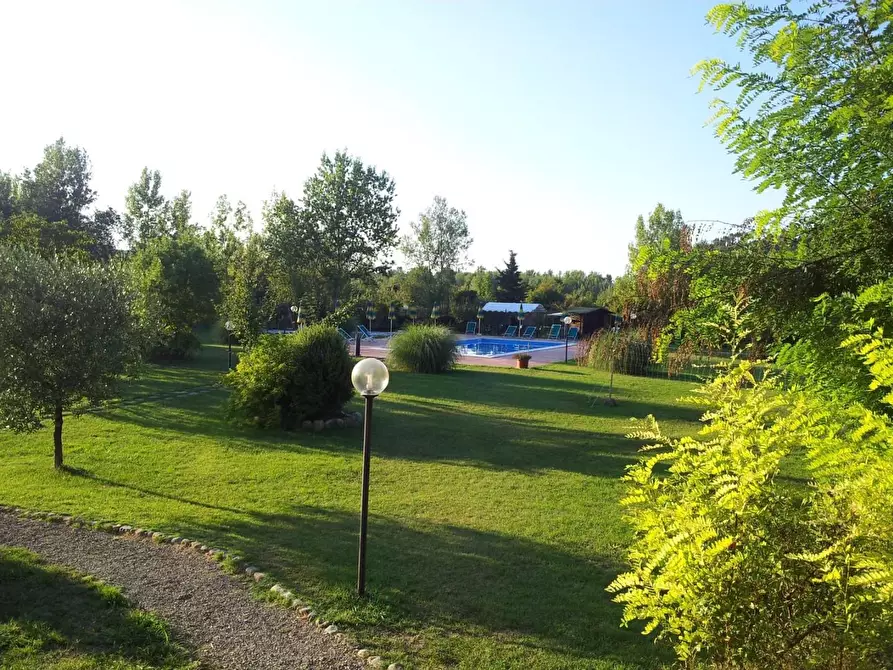 Immagine 5 di Casa colonica in vendita  a Terricciola