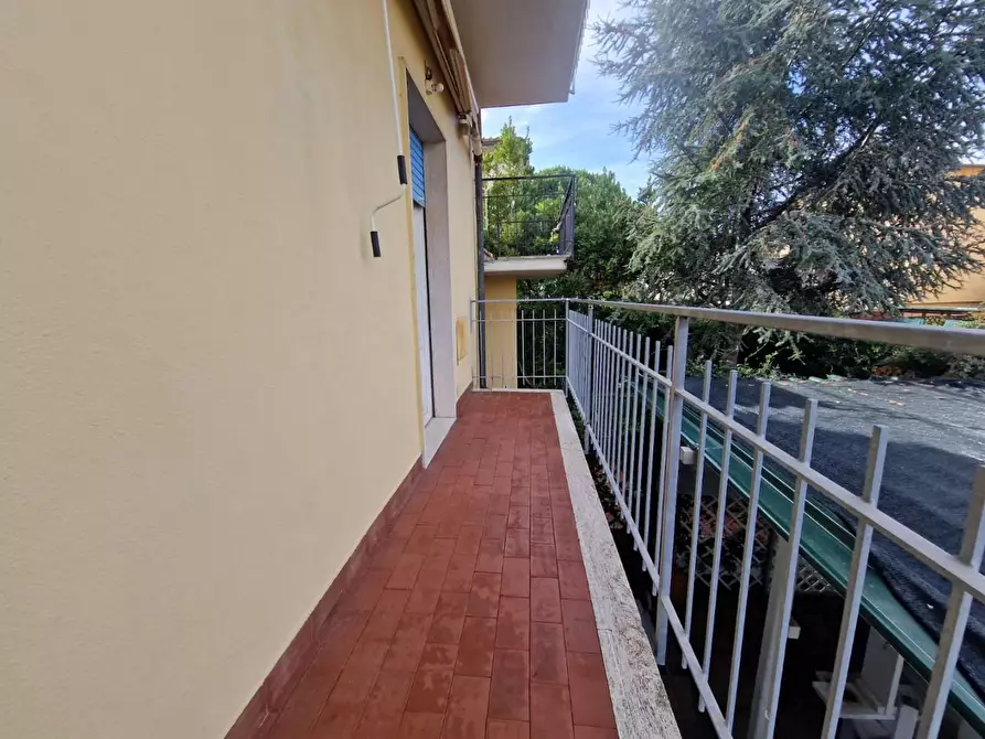 Immagine 3 di Appartamento in vendita  a Rosignano Marittimo