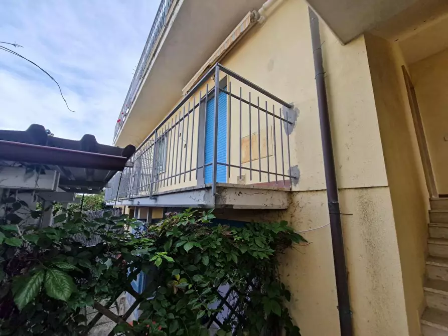 Immagine 2 di Appartamento in vendita  a Rosignano Marittimo