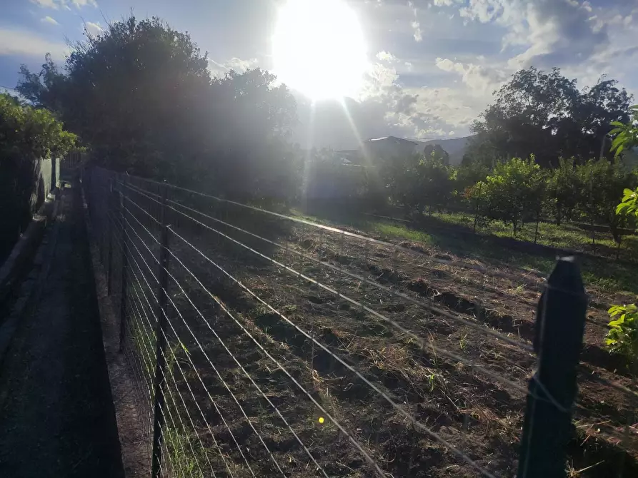 Immagine 3 di Terreno agricolo in vendita  a Calatabiano