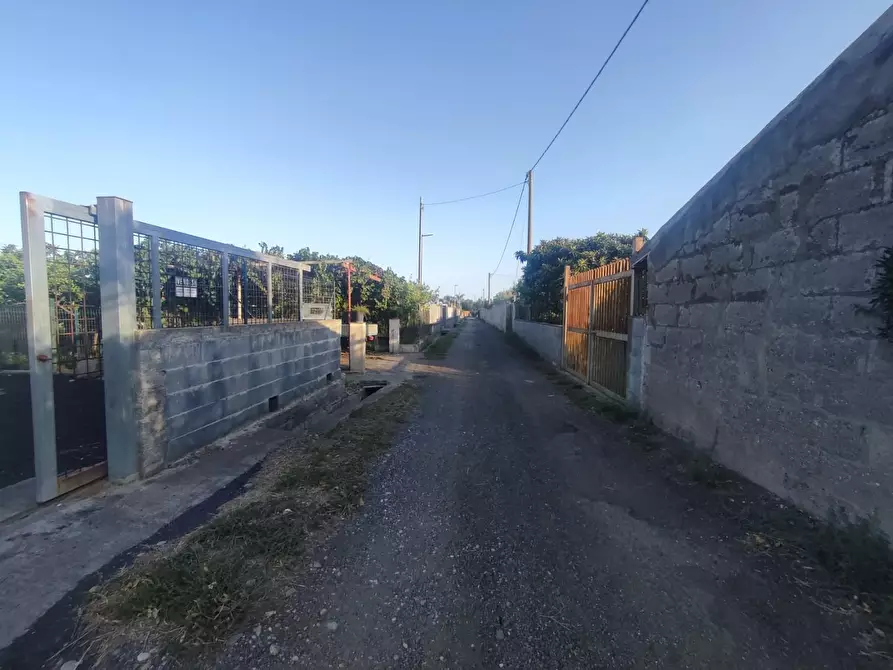 Immagine 6 di Terreno agricolo in vendita  a Calatabiano