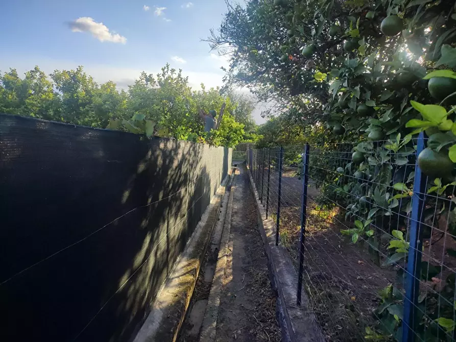 Immagine 4 di Terreno agricolo in vendita  a Calatabiano