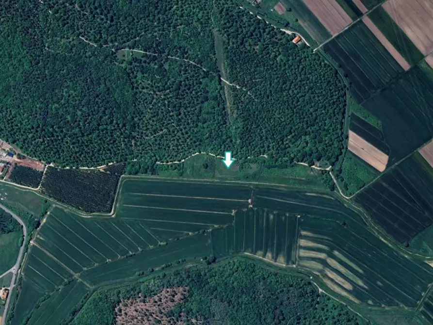 Immagine 1 di Terreno agricolo in vendita  a Bientina