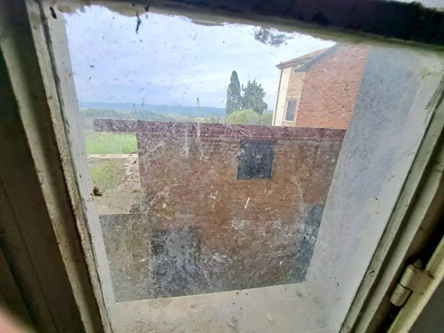 Immagine 7 di Appartamento in vendita  a Peccioli