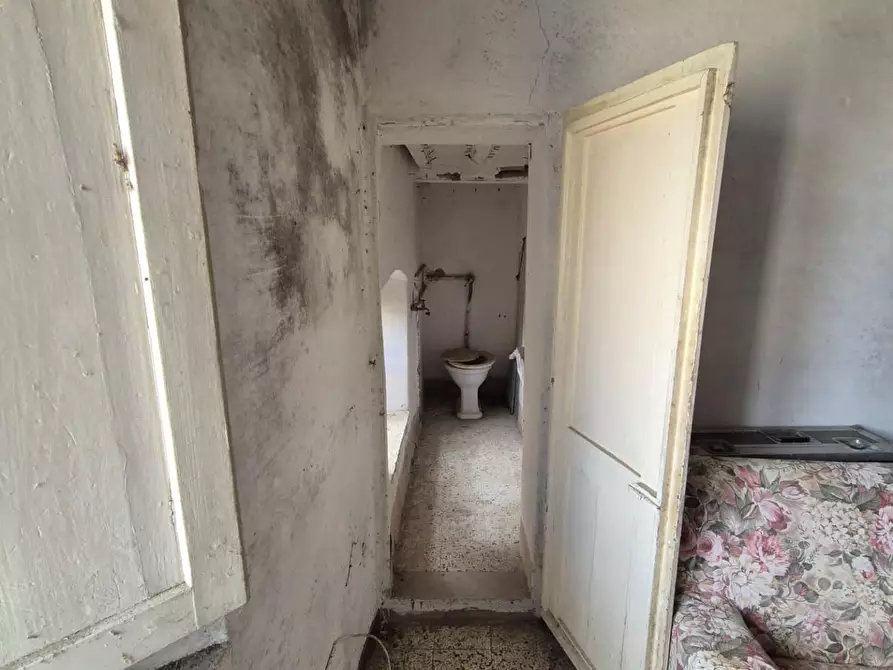 Immagine 19 di Appartamento in vendita  a Peccioli