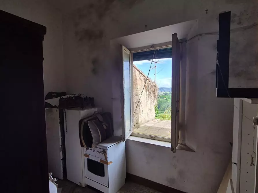 Immagine 14 di Appartamento in vendita  a Peccioli