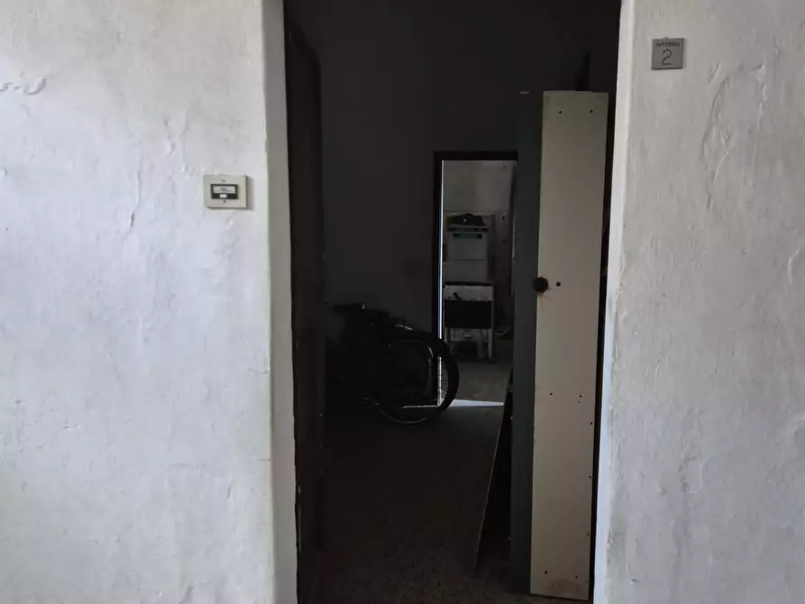 Immagine 11 di Appartamento in vendita  a Peccioli