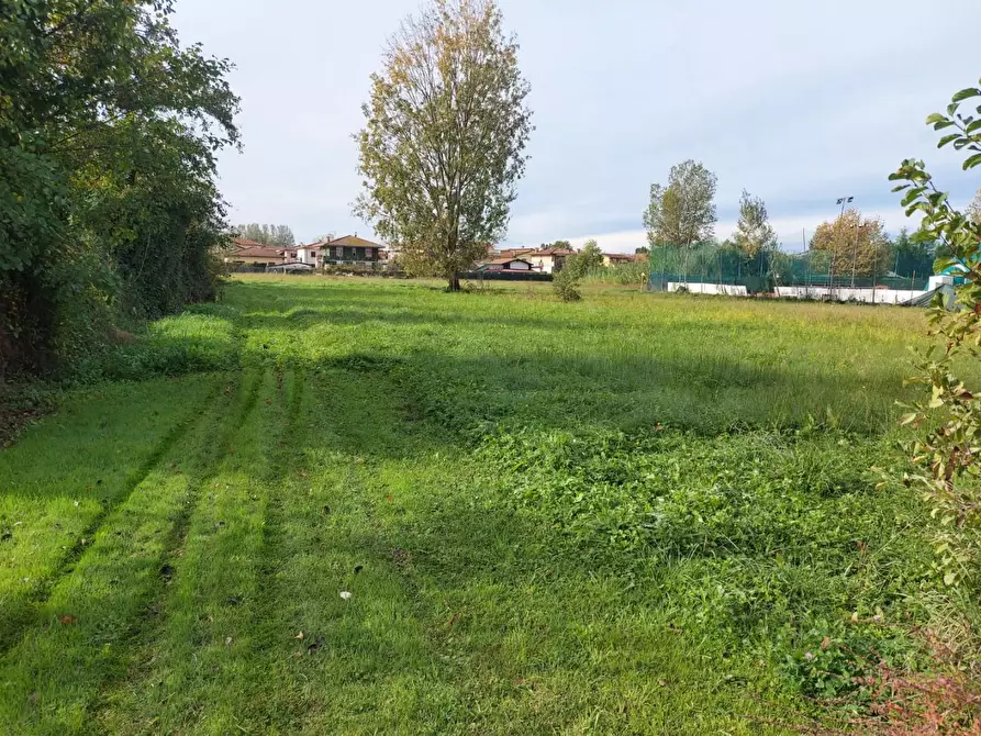 Immagine 1 di Terreno agricolo in vendita  a Massa