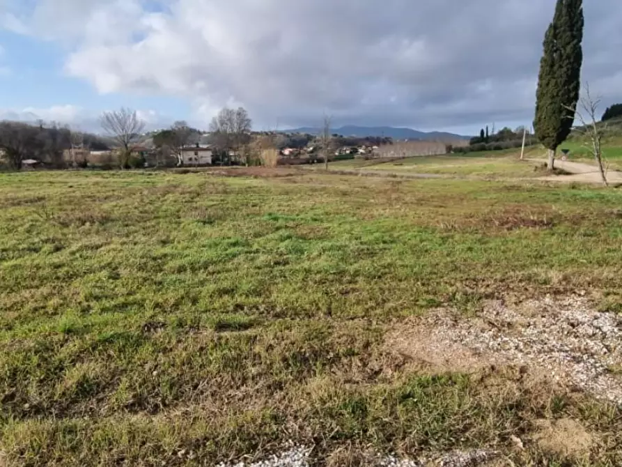 Immagine 4 di Terreno residenziale in vendita  a Fauglia