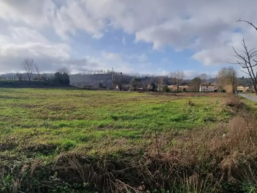 Immagine 5 di Terreno residenziale in vendita  a Fauglia