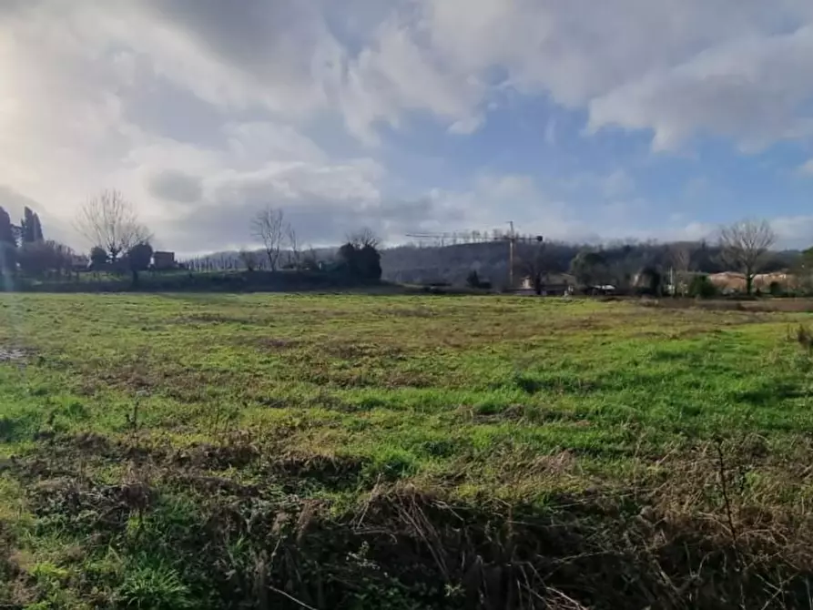 Immagine 3 di Terreno residenziale in vendita  a Fauglia